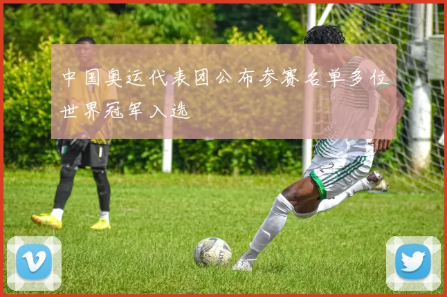 中国奥运代表团公布参赛名单多位世界冠军入选