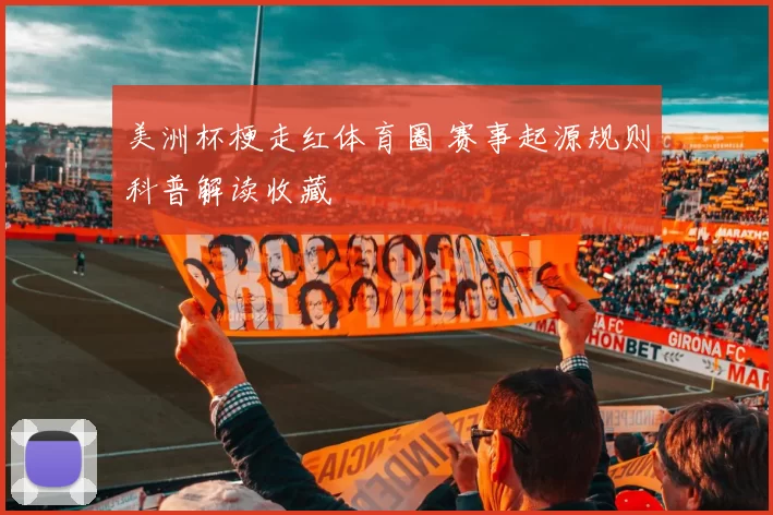 美洲杯梗走红体育圈 赛事起源规则科普解读收藏