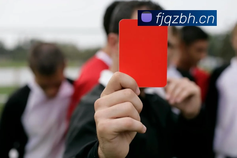 BSport(必一·运动)官方网站发展历程